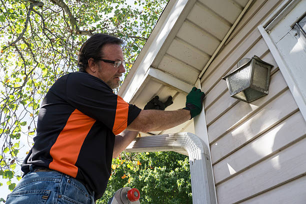 Best Shed Removal  in Kidron, OH